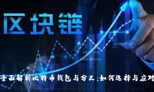 全面解析比特币钱包与分叉：如何选择与应对