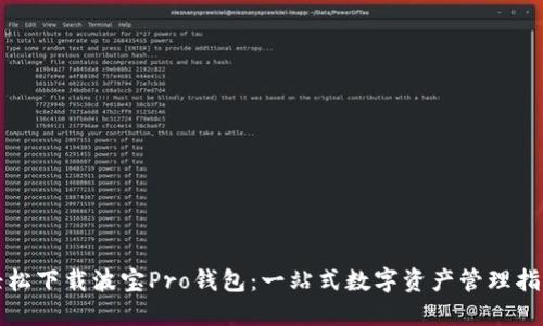 轻松下载波宝Pro钱包：一站式数字资产管理指南