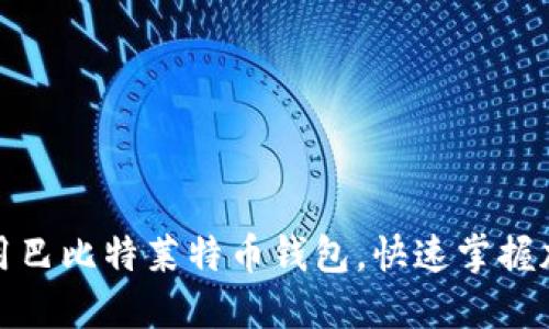 如何高效使用巴比特莱特币钱包，快速掌握加密资产管理