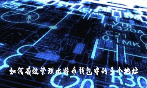 如何有效管理比特币钱包中的多个地址