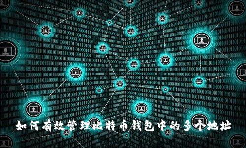 如何有效管理比特币钱包中的多个地址