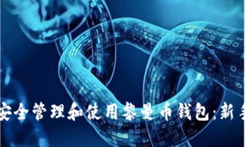 如何安全管理和使用黎曼币钱包：新手指南