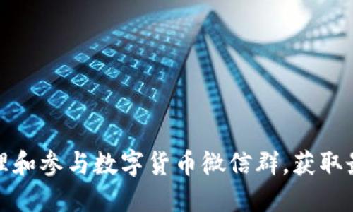 如何高效管理和参与数字货币微信群，获取最新投资信息