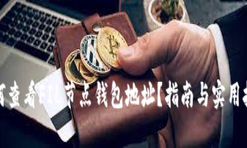 如何查看FIL节点钱包地址？指南与实用技巧