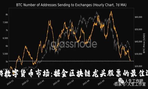畅游数字货币市场：掘金区块链龙头股票的最佳选择