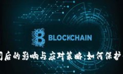 比太钱包倒闭后的影响与应对策略：如何保护你