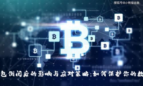 比太钱包倒闭后的影响与应对策略：如何保护你的数字资产