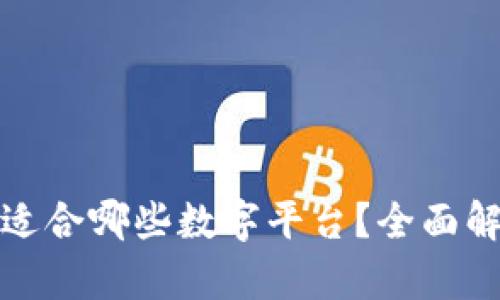 数字钱包适合哪些数字平台？全面解析与推荐