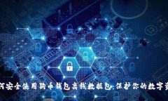如何安全使用狗币钱包离线数据包：保护你的数