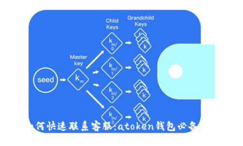 如何快速联系客服：atoken钱包必备指南