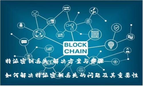 特派密钥丢失：解决方案与步骤

如何解决特派密钥丢失的问题及其重要性