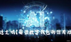 数字钱包可以透支吗？解读数字钱包的信用功能