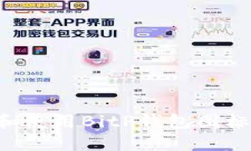 如何选择和使用BitP钱包图标：完全指南