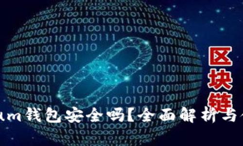 Ethereum钱包安全吗？全面解析与使用指南