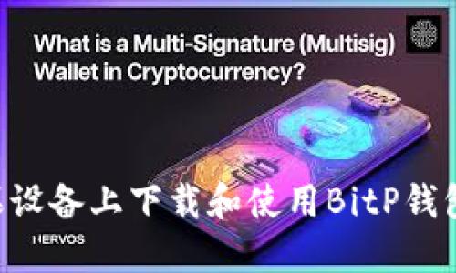 如何在苹果设备上下载和使用BitP钱包：详细指南