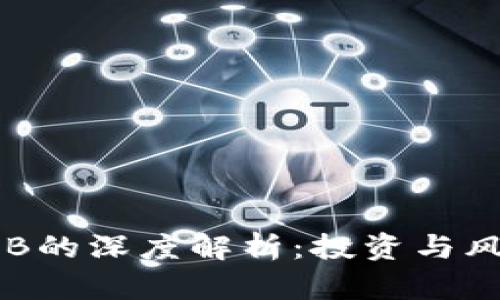 虚拟币B的深度解析：投资与风险分析