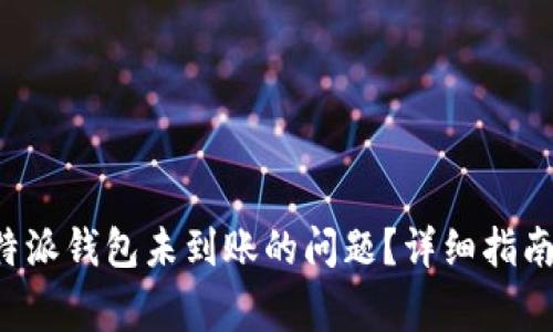 如何解决B特派钱包未到账的问题？详细指南与常见问答