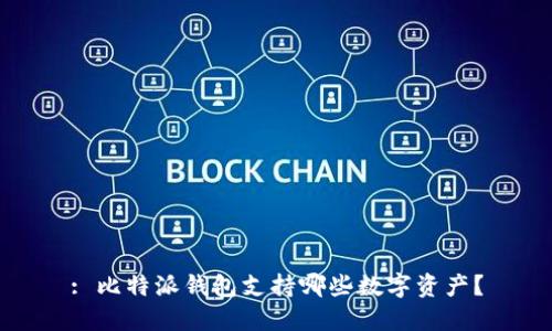 : 比特派钱包支持哪些数字资产？