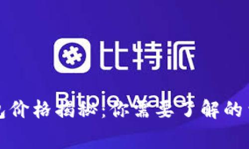 比特币钱包价格揭秘：你需要了解的费用和选择