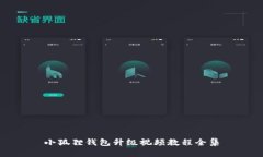 小狐狸钱包升级视频教程全集