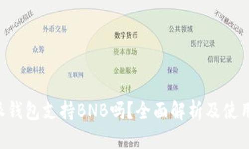 B特派钱包支持BNB吗？全面解析及使用指南
