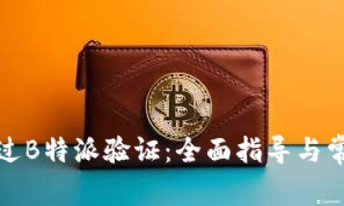 如何顺利通过B特派验证：全面指导与常见问题解答