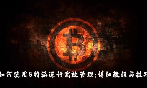 如何使用B特派进行高效管理：详细教程与技巧