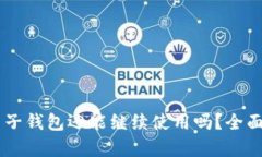 BitKeep 电子钱包还能继续使用吗？全面分析与解读