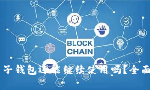 BitKeep 电子钱包还能继续使用吗？全面分析与解读