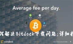 如何解决Bitdock下载问题：详细指南