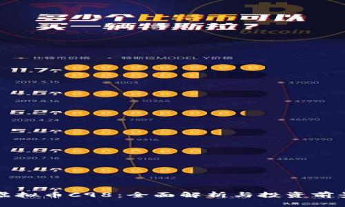 虚拟币C98：全面解析与投资前景