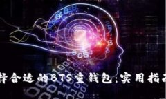 如何选择合适的BTS重钱包：实用指南与推荐