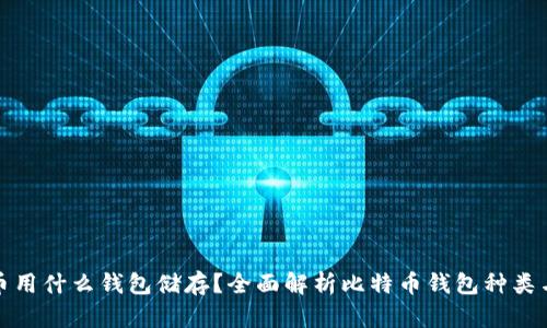 比特币用什么钱包储存？全面解析比特币钱包种类与选择