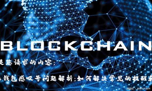 以下是您请求的内容：

B特派钱包感叹号问题解析：如何解决常见的提醒和警告