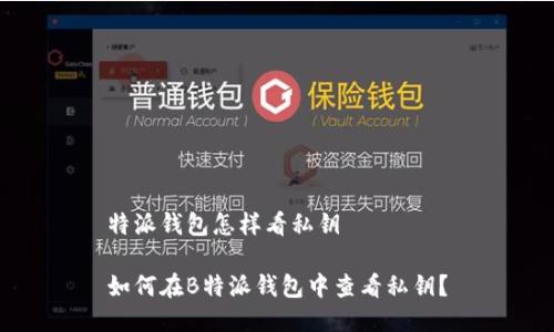 特派钱包怎样看私钥

如何在B特派钱包中查看私钥？