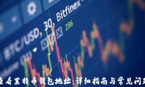 
如何查看莱特币钱包地址：详细指南与常见问题解答