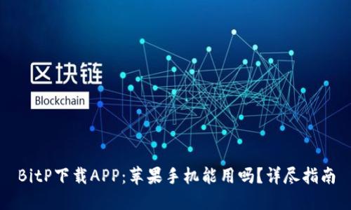 BitP下载APP：苹果手机能用吗？详尽指南