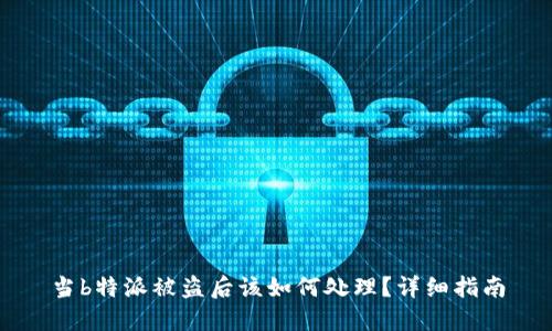 当b特派被盗后该如何处理？详细指南