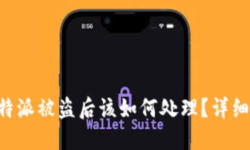 当b特派被盗后该如何处理？详细指南