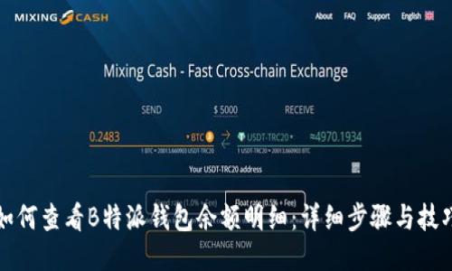 如何查看B特派钱包余额明细：详细步骤与技巧