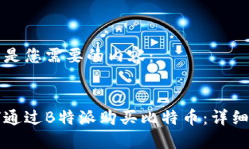 下面是您需要的内容：


如何通过B特派购买比特币：详细指南