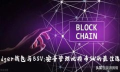 Ledger钱包与BSV：安全管理比特币SV的最佳选择