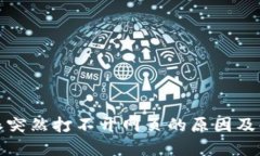 : 比特派突然打不开网页的原因及解决方法