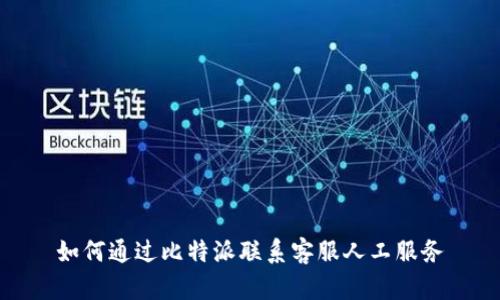 如何通过比特派联系客服人工服务