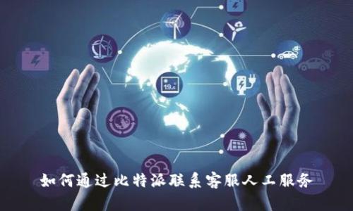 如何通过比特派联系客服人工服务