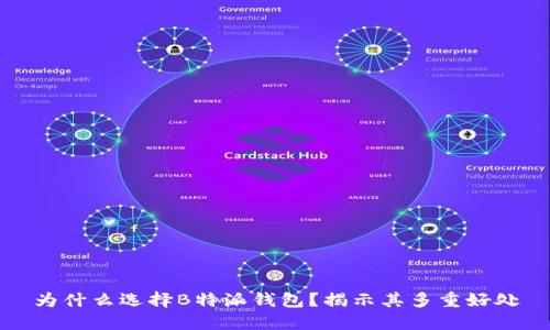 为什么选择B特派钱包？揭示其多重好处