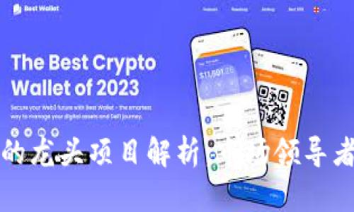 ERC20代币的龙头项目解析：市场领导者及其影响力