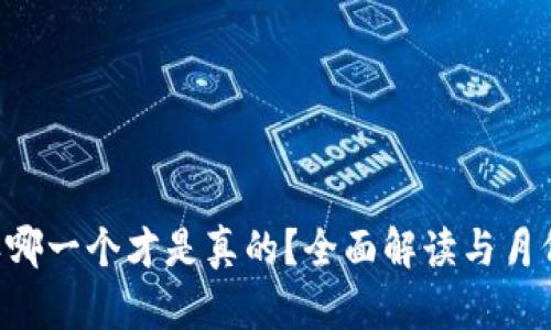 B特派哪一个才是真的？全面解读与月份分析