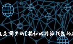 比特派钱包是哪里的？揭秘比特派钱包的起源与