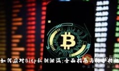 如何应对Bitp私钥泄漏：全面指南与防护措施